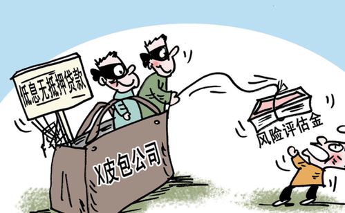 社会风险评估说明