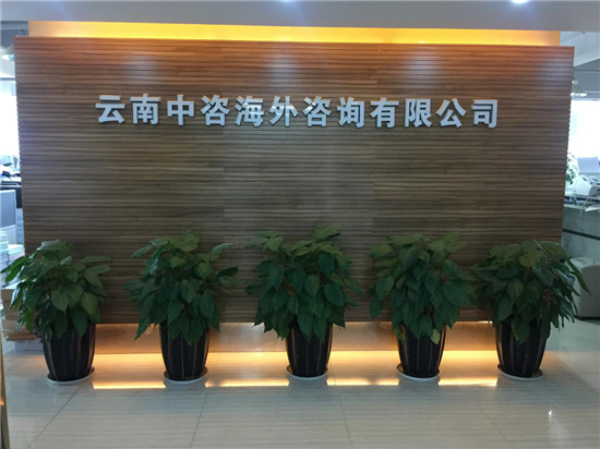 云南中咨海外 以标准化服务驱动发展，引领政府采购代理新标杆